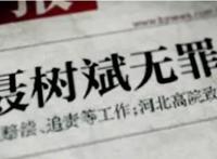 聂树斌案：从死刑到无罪，律师们到底赢在了哪儿？