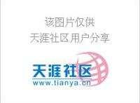 20部欧美顶级经典情色片