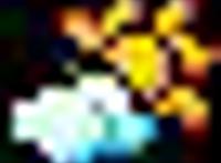 北京奥运会开幕式门票价格被炒到50万元