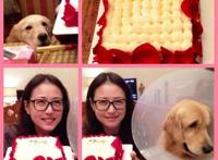 47岁周海媚早年露点激情床戏曝光（图）