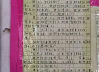 木苦依五木的作文