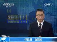 两档节目暂停播出 白岩松是摊上事儿了