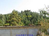 霍去病的舅舅—卫青墓