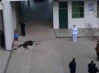 痛惜！四川中学英语教师疑工作压力大跳楼自杀