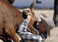 几点看法：关于牛博网被关闭