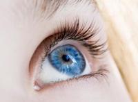 揭秘：蓝眼睛的人来自于同一个祖先