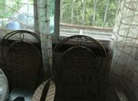 散文诗《雨庭》