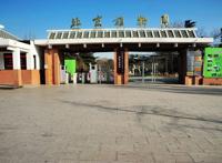 中科院香山植物园