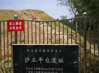棺材替身鲍鱼及其他