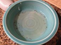 灭蚊子，这九种方法最有效