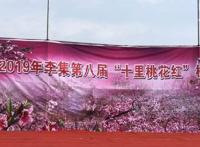 2019年武汉市新洲区李集街第八届桃花节节目主持词