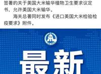 如何鉴别防范转基因大米？