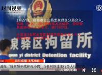 摔死柯基双方均行拘七天，各打五十大板？