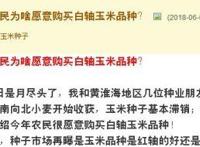 先玉335玉米崩盘被弃种打了谁的脸？