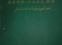 开国将军买买提明.伊敏诺夫当年为何没有出走苏联？