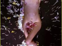 十大女星花瓣遮三点谁更性感（图）