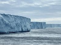 央视《我是大律师》误导民众，涉嫌违法