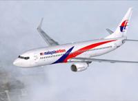 马航空难事件，家属如何索赔？