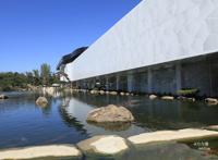 【北京】黑天鹅数千元的“贵族”蛋糕