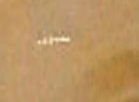 美国男子称借助谷歌地图发现火星表面神秘结构