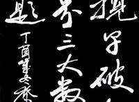 一揽子破解（二、三、四）世界三大数学难题