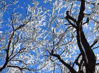 张扣扣案：陕西高院委托汉中中院对当年杀扣扣母亲案件再合议是正当其时吗？