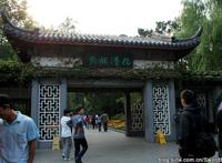 西湖十景之花港观鱼