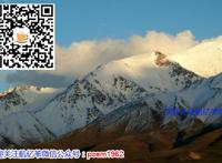 特朗普最大的危害是撕裂共和党