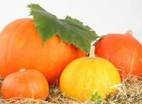 充满魔性的南瓜头，里面藏的全是宝!