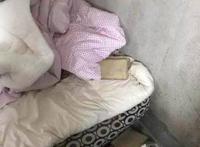 买来婚房被保洁住6年，业主欲哭无泪