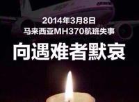 众星悼念马航遇难者谴责马来西亚政府（图）