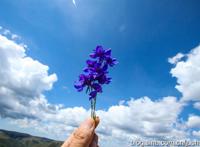 #一城一夏#一路向北，七月挺进黄花沟