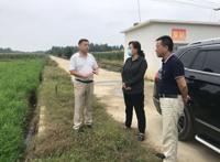 绷紧弦不松劲：湖北蕲春县委书记赵少莲到蕲之阳果蔬基地等处查看灾情