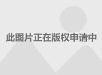 王朔，你想封杀自己吗？