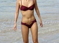 泳装最撩人的10大美女明星