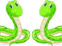 我国哪个省蛇的种类和数量最多？