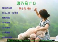 缘分是什么