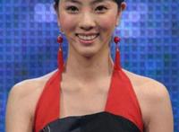央视十大美女主播学历背景大起底
