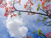 和哈里王子同步游非洲！抢在别的中国人发现它之前，好好地野奢一番！