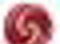 熊玠教授：谈学生马英九并说大陆应问台湾到底要武统还是和统（转载）|
