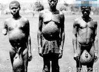 非洲原始部落巨阴族的秘密，从小舔食母牛蜜汁直至婚后