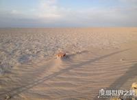 楼兰古城双丫玉佩事件，彭加木因其迷失方向而失踪(民间传说)