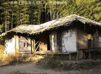 世界上最恐怖的图片，第一张就能将你吓尿(胆小勿入)