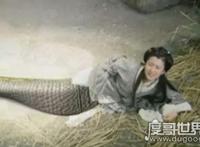 人头蛇身是真的吗，只存在于神话传说中(女娲和美杜莎)