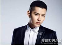 exo成员资料简介12人，exo成员最帅的是谁(有4位中国人)