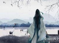 离人愁歌词是什么意思，是写给《雪中悍刀行》里温华的歌