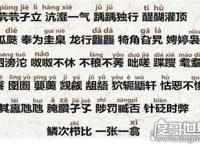 生僻字歌词是什么意思，让你轻松产出生僻字(完整拼音加注解)
