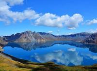 长白山715事件是怎么回事，棒槌鸟是什么（人参有灵）