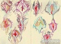 魏吉娜是什么意思，世界最强魏吉娜夹起30斤重物