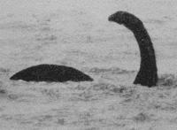 世界上十大不明生物盘点，美人鱼可能在世界上真实存在